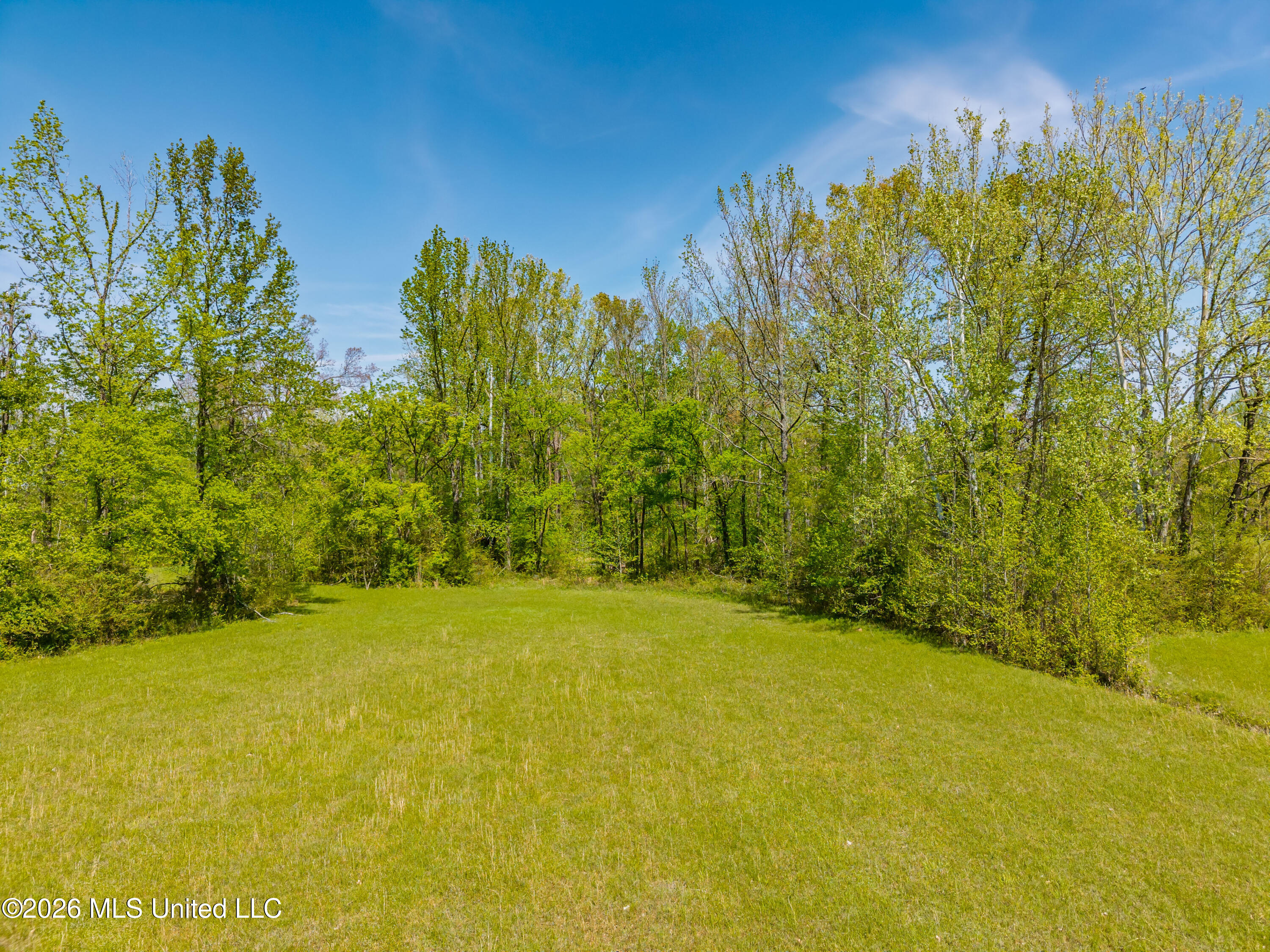 2836 Anthony Road Pope, MS 38658 - Photo 19 of 25 2857 Anthony Rd Pope MS_30ac_2026-04-08_