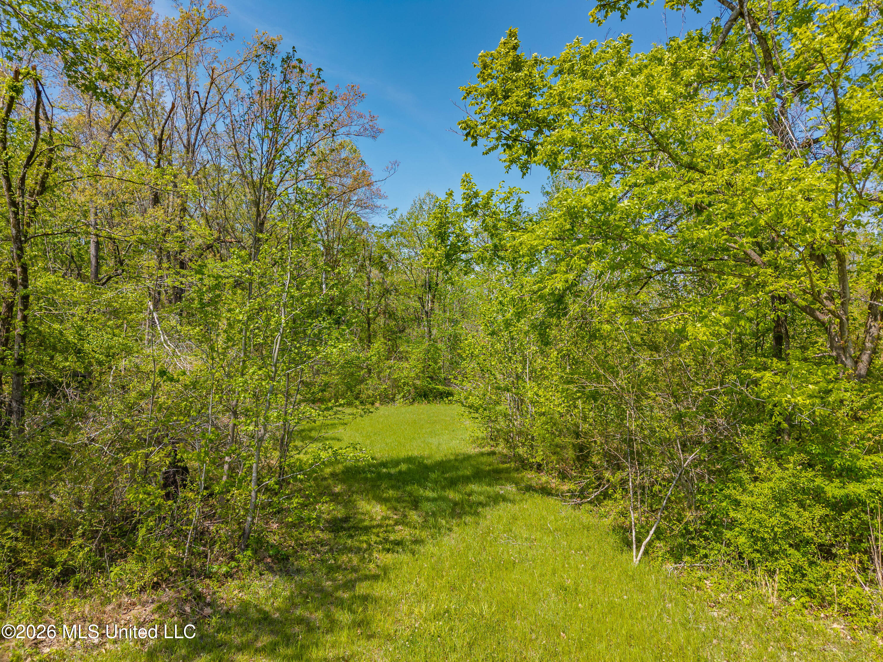 2836 Anthony Road Pope, MS 38658 - Photo 20 of 25 2857 Anthony Rd Pope MS_30ac_2026-04-08_