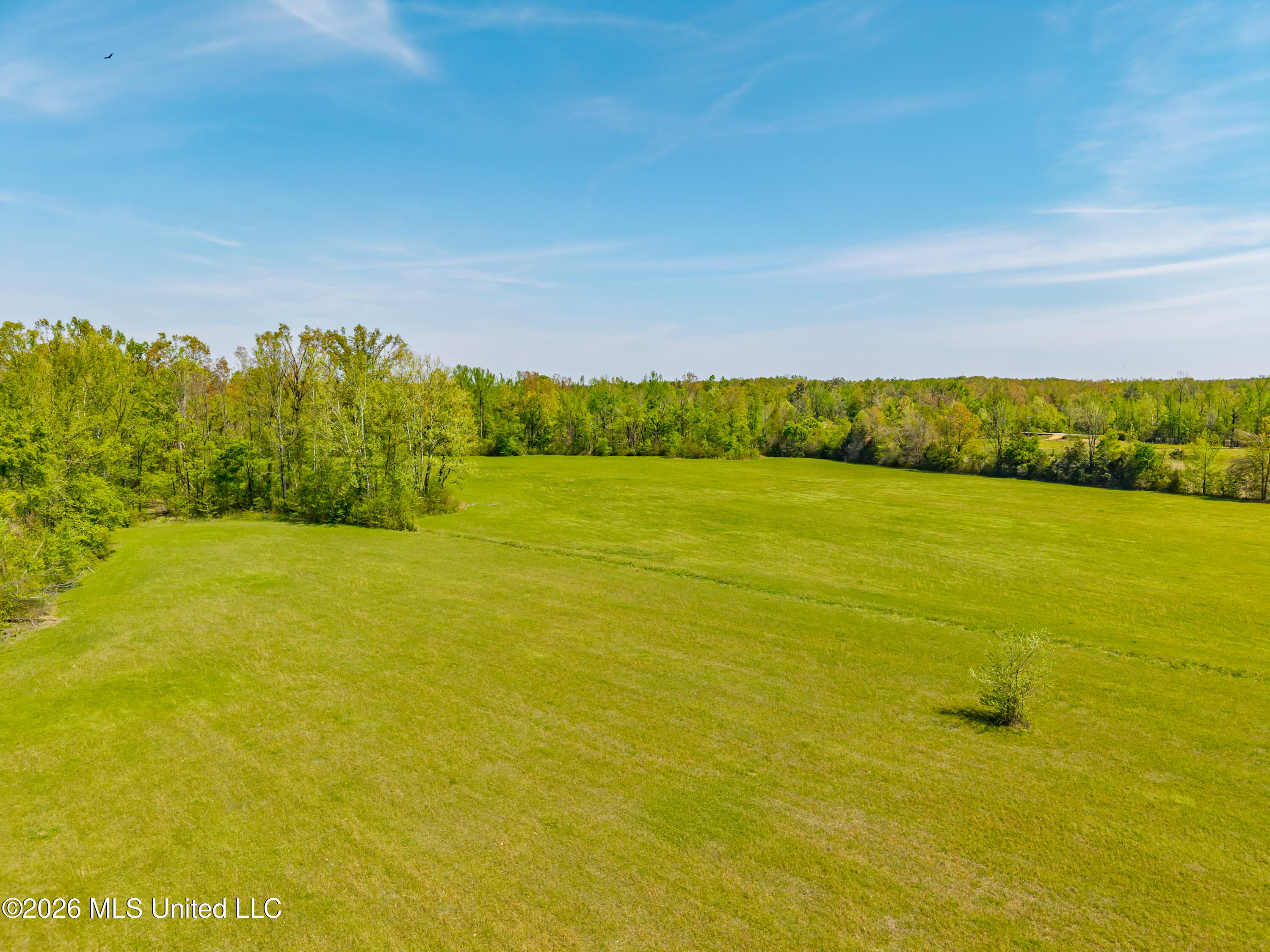 2836 Anthony Road Pope, MS 38658 - Photo 24 of 25 2857 Anthony Rd Pope MS_30ac_2026-04-08_