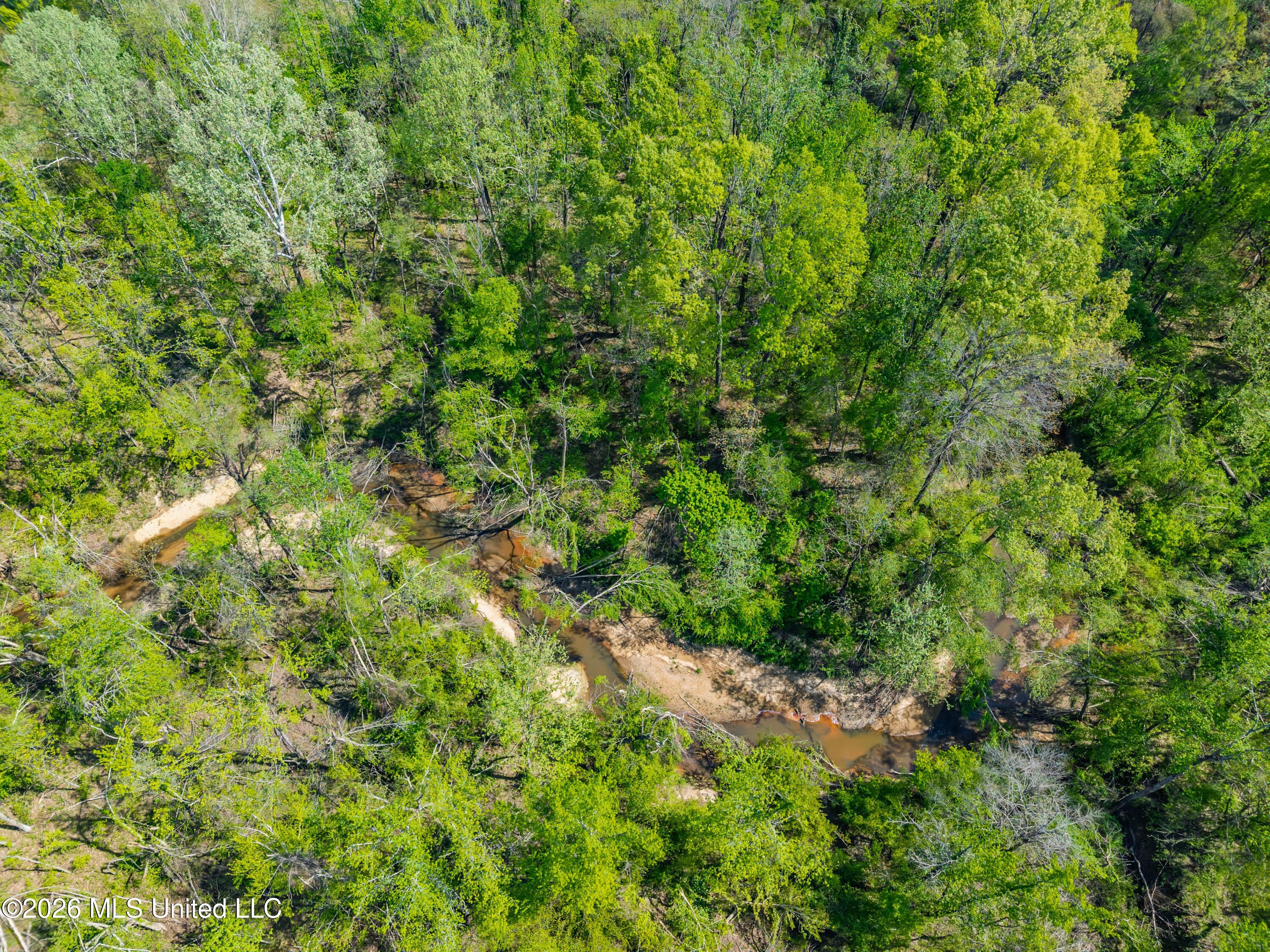 2836 Anthony Road Pope, MS 38658 - Photo 6 of 25 2857 Anthony Rd Pope MS_30ac_2026-04-08_