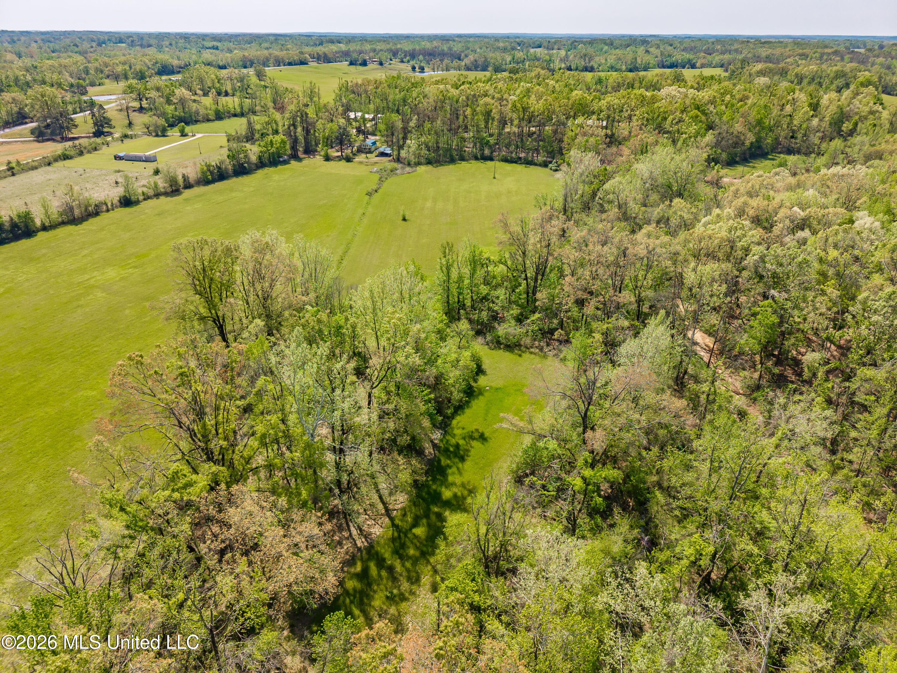 2836 Anthony Road Pope, MS 38658 - Photo 7 of 25 2857 Anthony Rd Pope MS_30ac_2026-04-08_