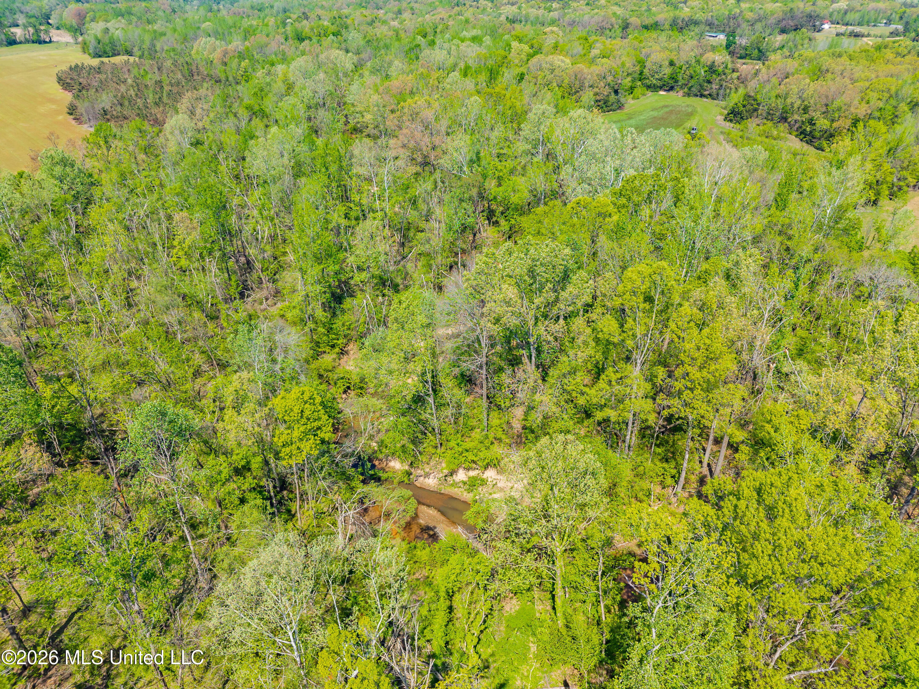 2836 Anthony Road Pope, MS 38658 - Photo 8 of 25 2857 Anthony Rd Pope MS_30ac_2026-04-08_
