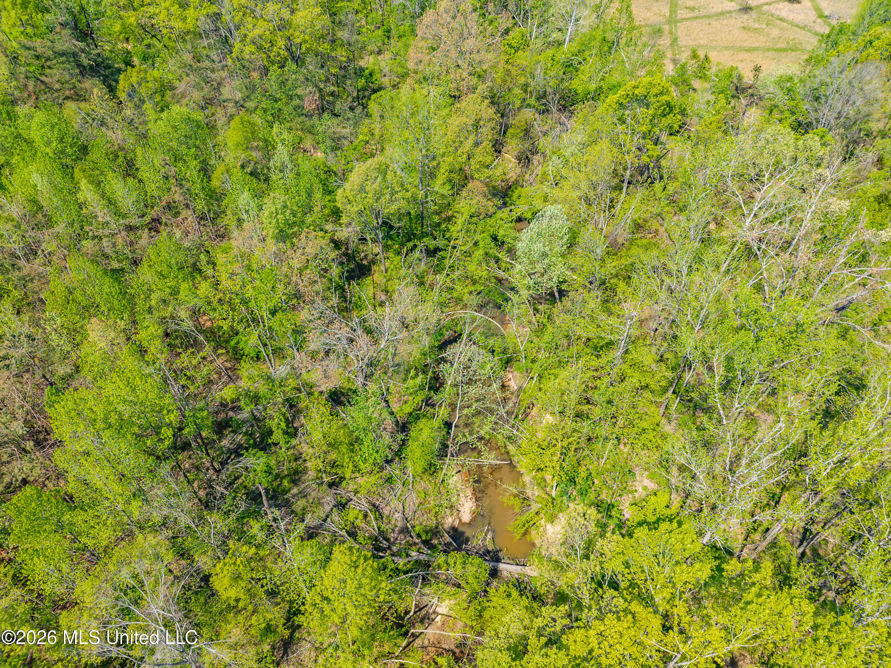2836 Anthony Road Pope, MS 38658 - Photo 9 of 25 2857 Anthony Rd Pope MS_30ac_2026-04-08_