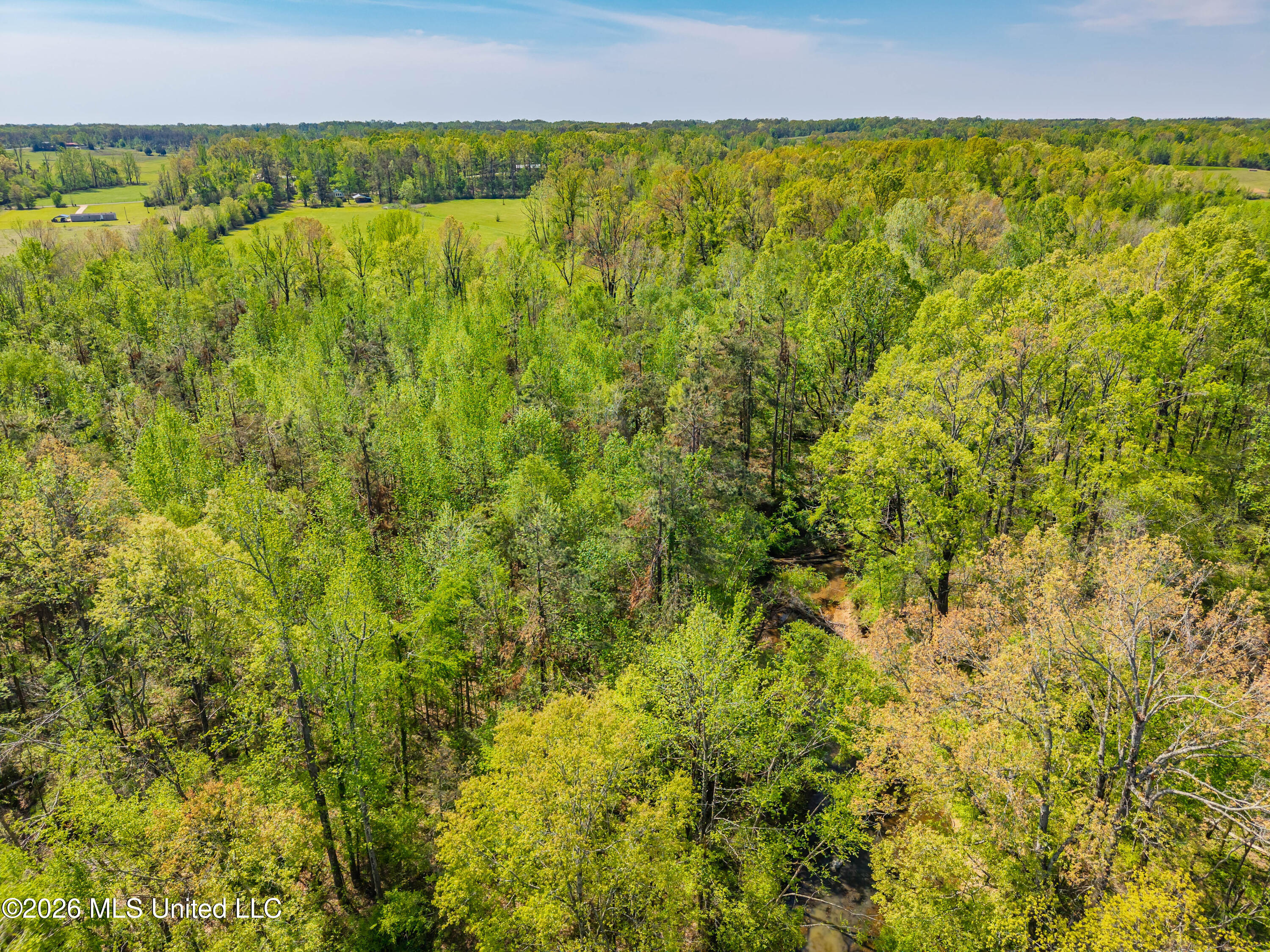2836 Anthony Road Pope, MS 38658 - Photo 10 of 25 2857 Anthony Rd Pope MS_30ac_2026-04-08_