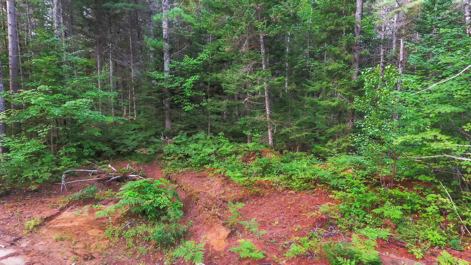 167 Harrison Road Oxford, ME 04270 - Photo 31 of 40 04_DJI_0001_copy_1_mls