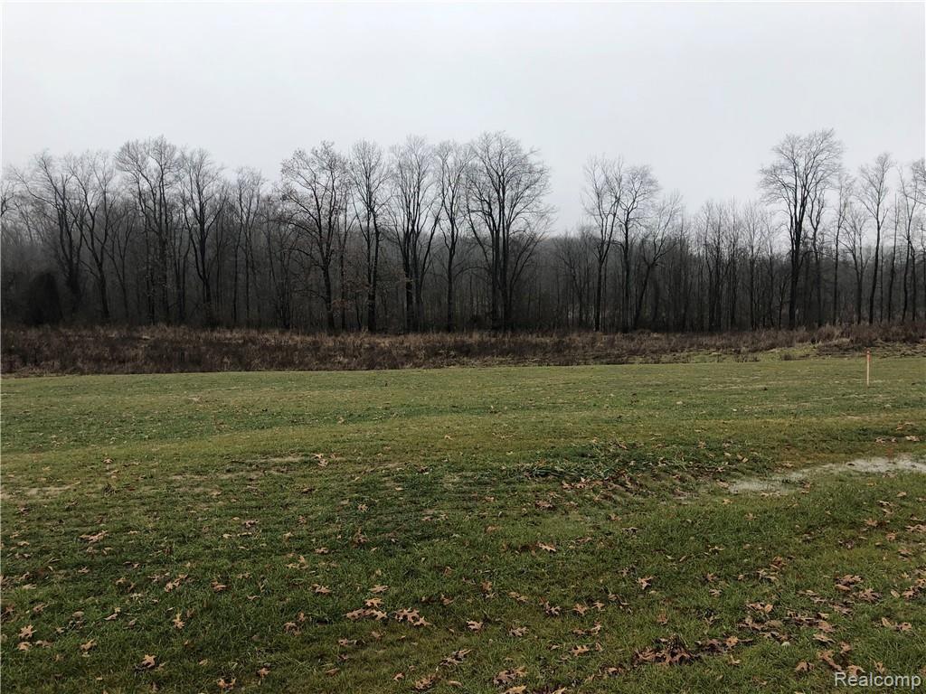 Parcel 9 Elevation Lane Howell, MI 48855 - Photo 3 of 10