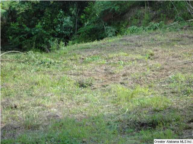 504 Journeys End Road, Unit 1 Ashville, AL 35953 - Photo 11 of 17