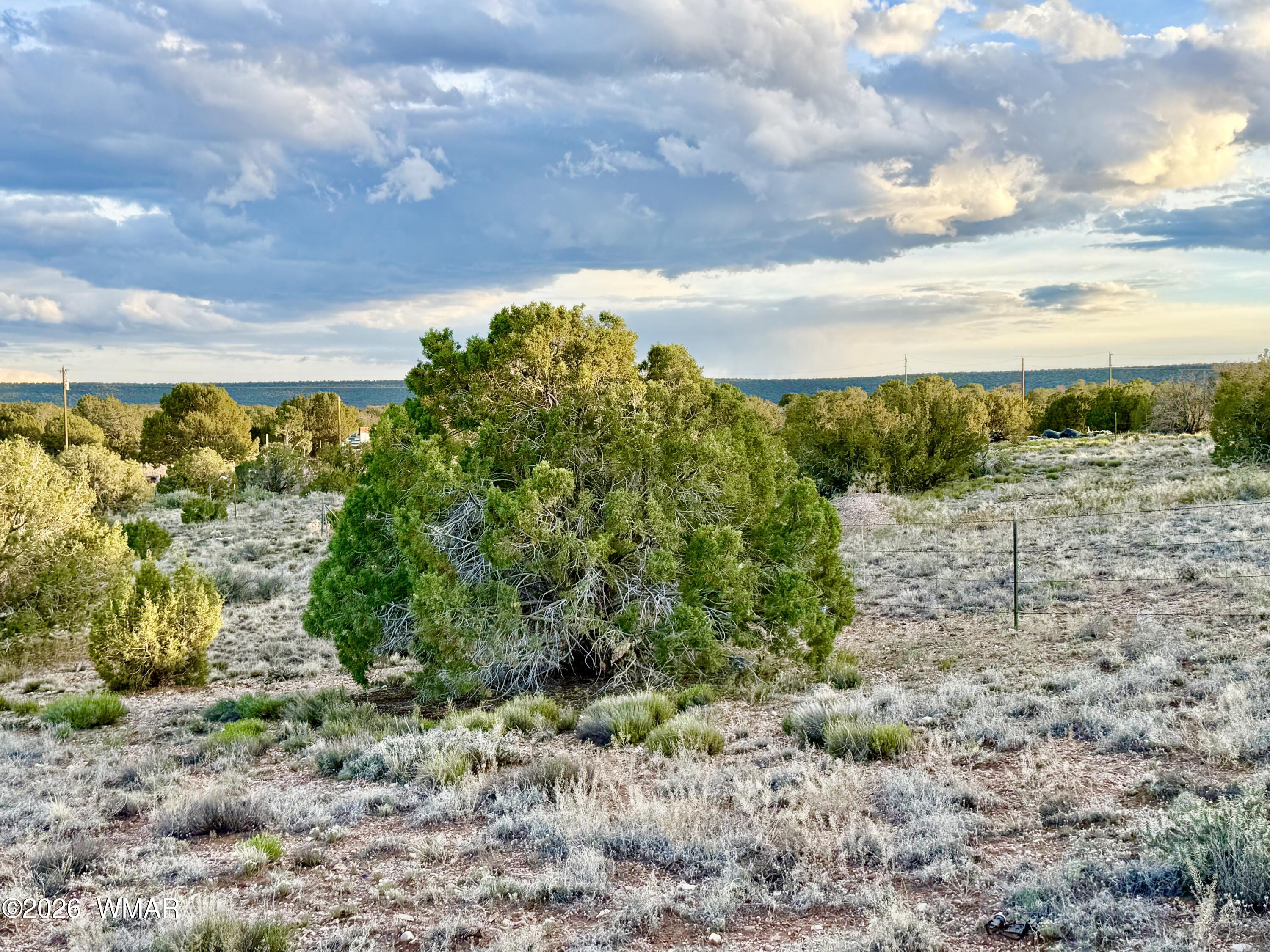 4428 Colt Road Snowflake, AZ 85937 - Photo 11 of 22 IMG_6159