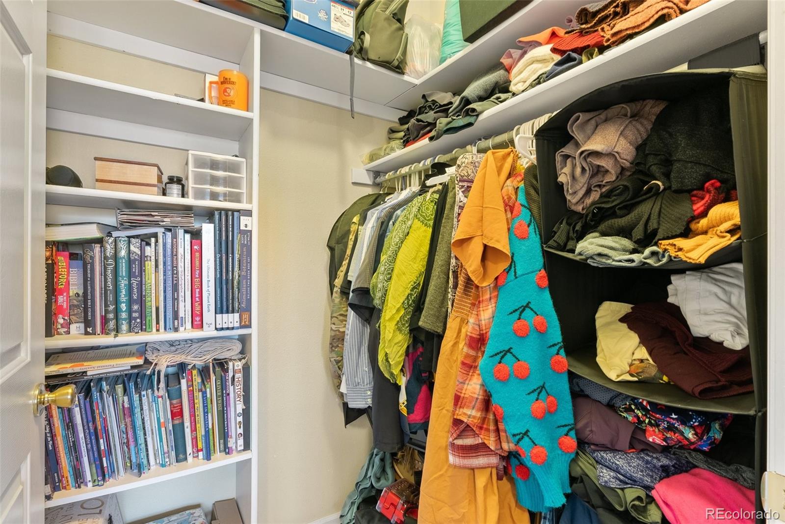 5720 County Road 64, Unit 101A Bailey, CO 80421 - Photo 20 of 46 a view of walk in closet with clothes and shoes