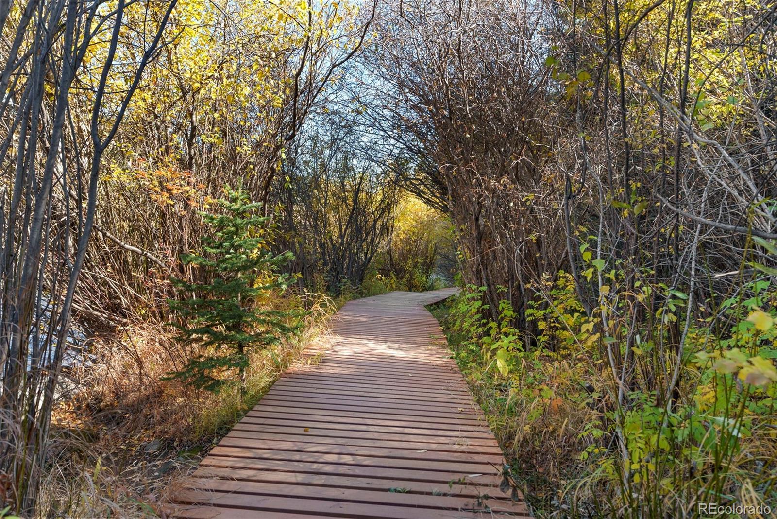 5720 County Road 64, Unit 101A Bailey, CO 80421 - Photo 42 of 46 a view of a pathway both side of the street