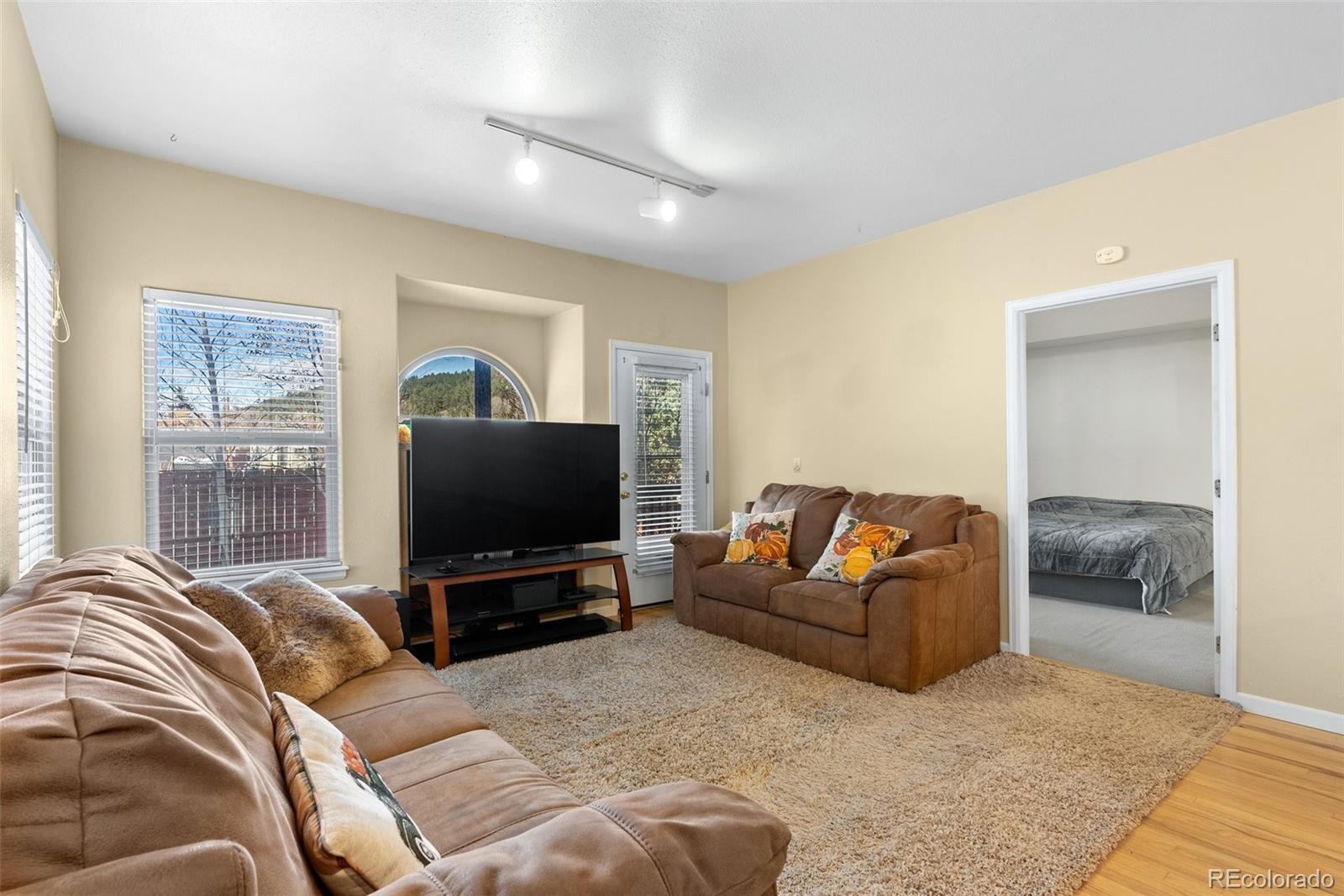 5720 County Road 64, Unit 101A Bailey, CO 80421 - Photo 5 of 46 a living room with furniture and a flat screen tv
