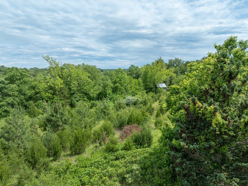 Featherfin Road, Unit 3B Prospect, VA 23960 - Photo 29 of 35 Gallery Image 29