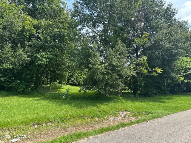 $25,000 | 405 South Bailey Street, Abbeville, LA 70510