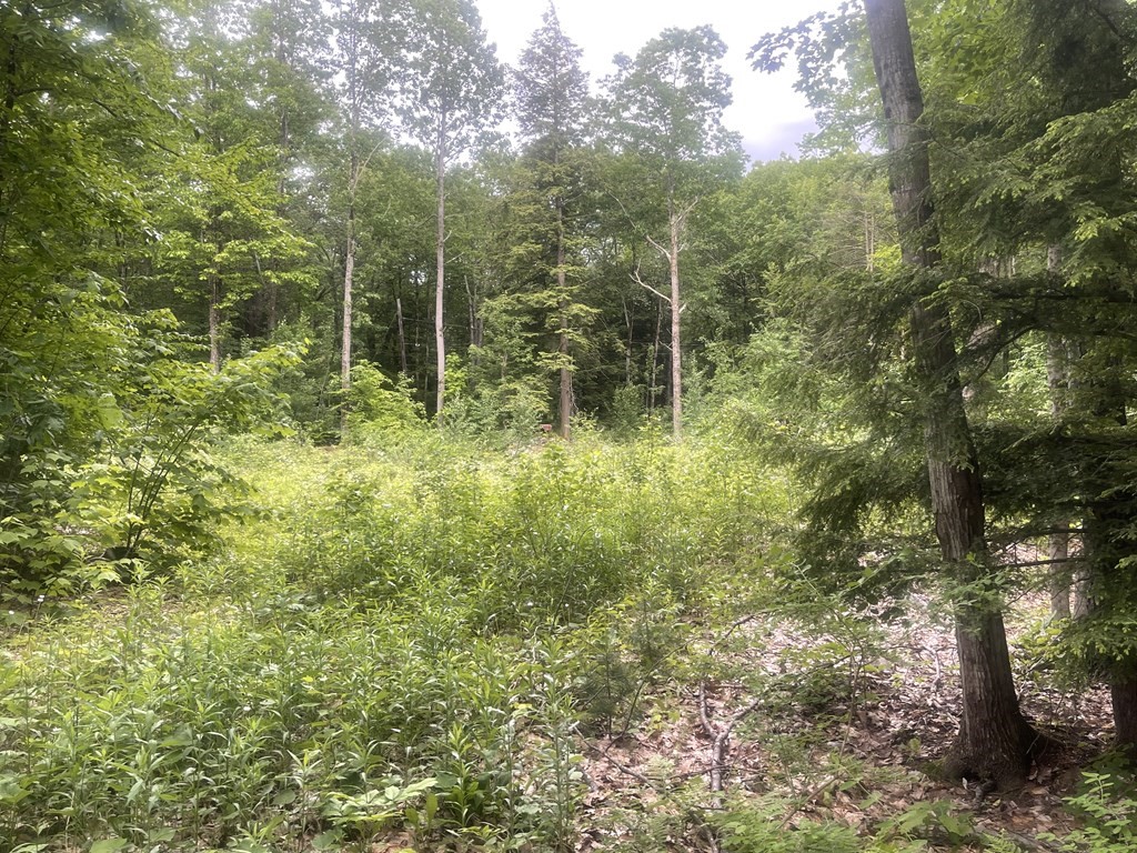 58 Sir Walter Road Becket, MA 01223 - Photo 5 of 7 Gallery Image 5