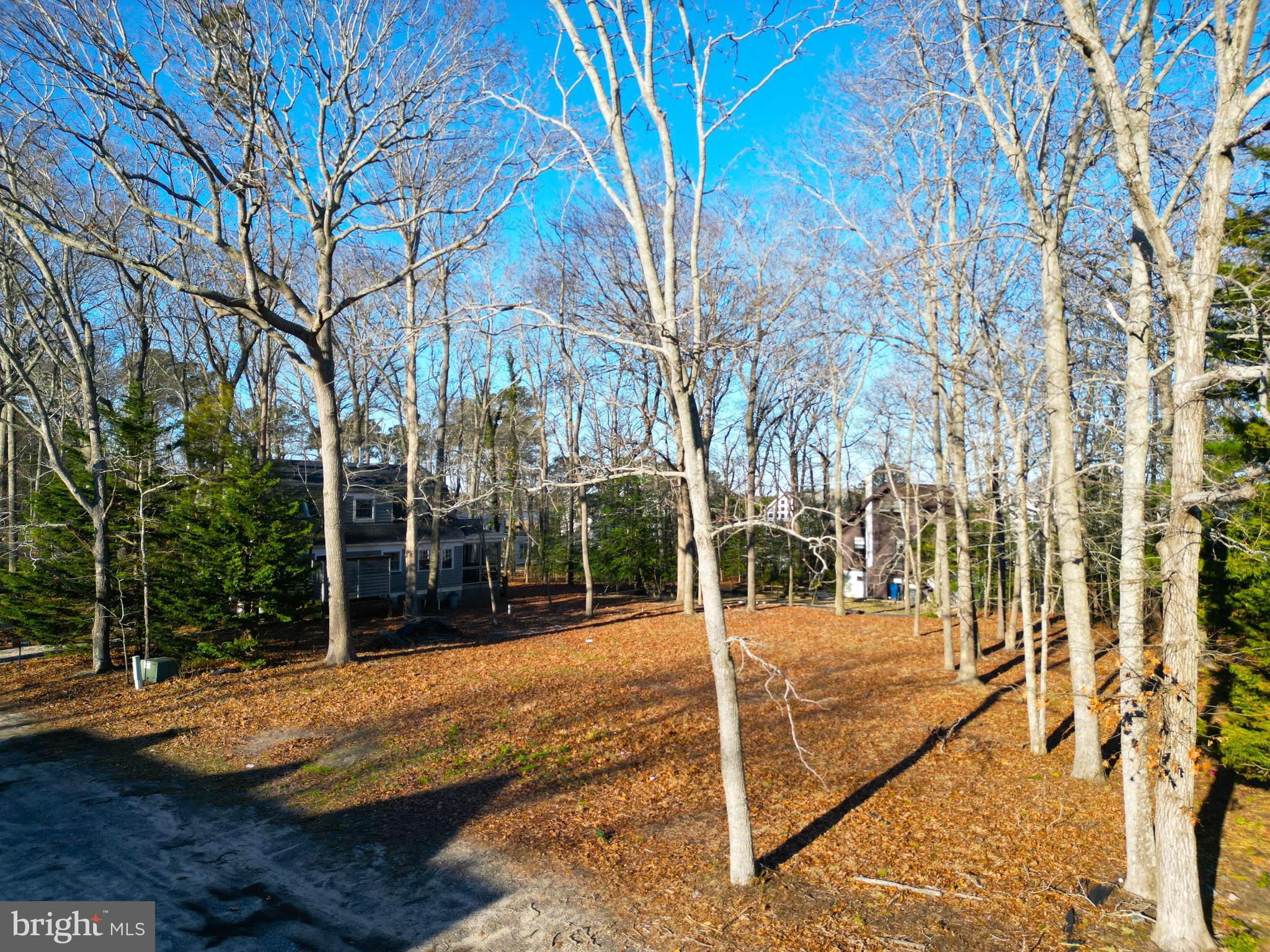 1st Street Ocean View, DE 19970 - Photo 10 of 10 a view of a yard with tree s