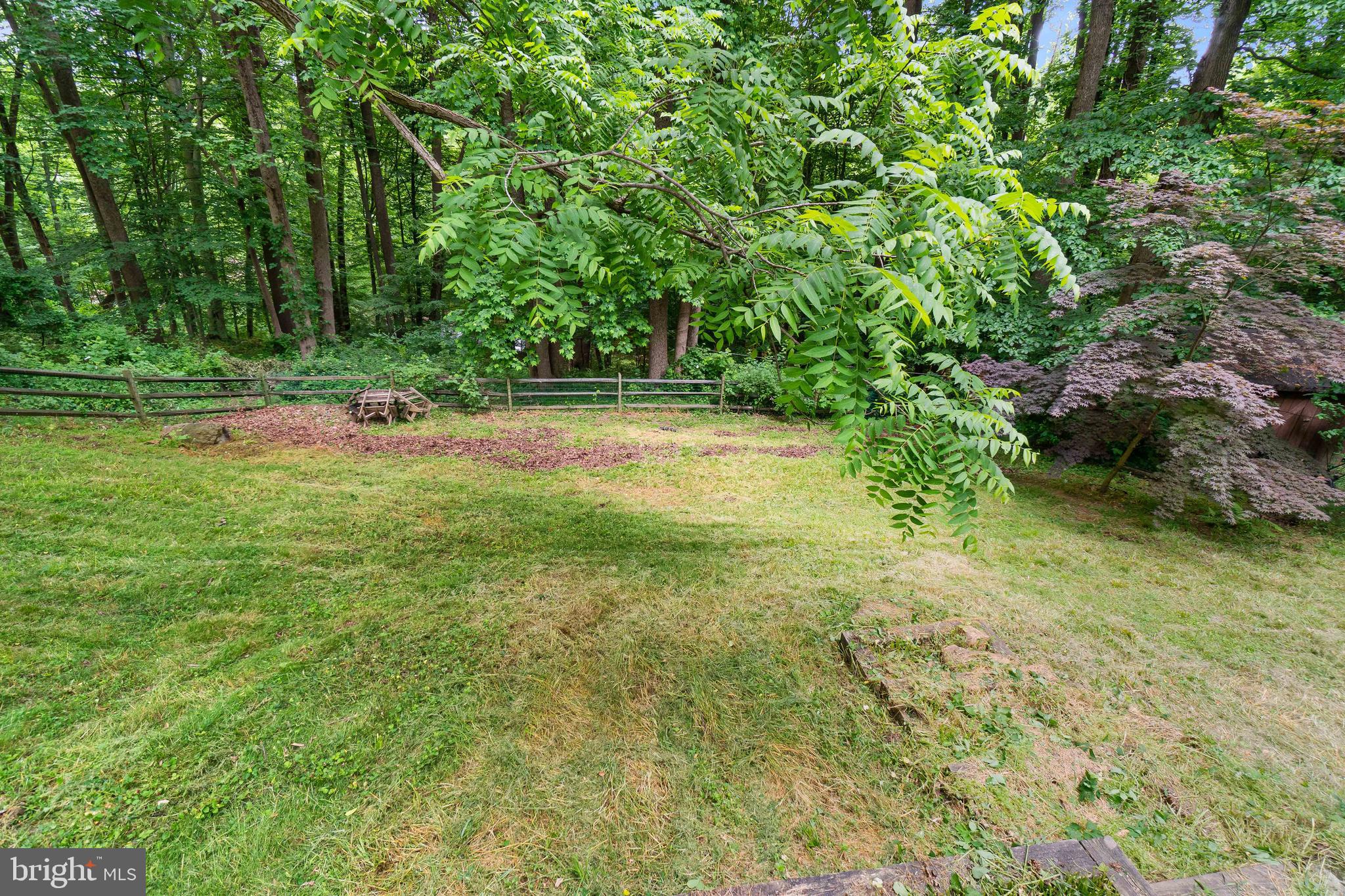 536 Blacksnake Road Elkton, MD 21921 - Photo 4 of 32