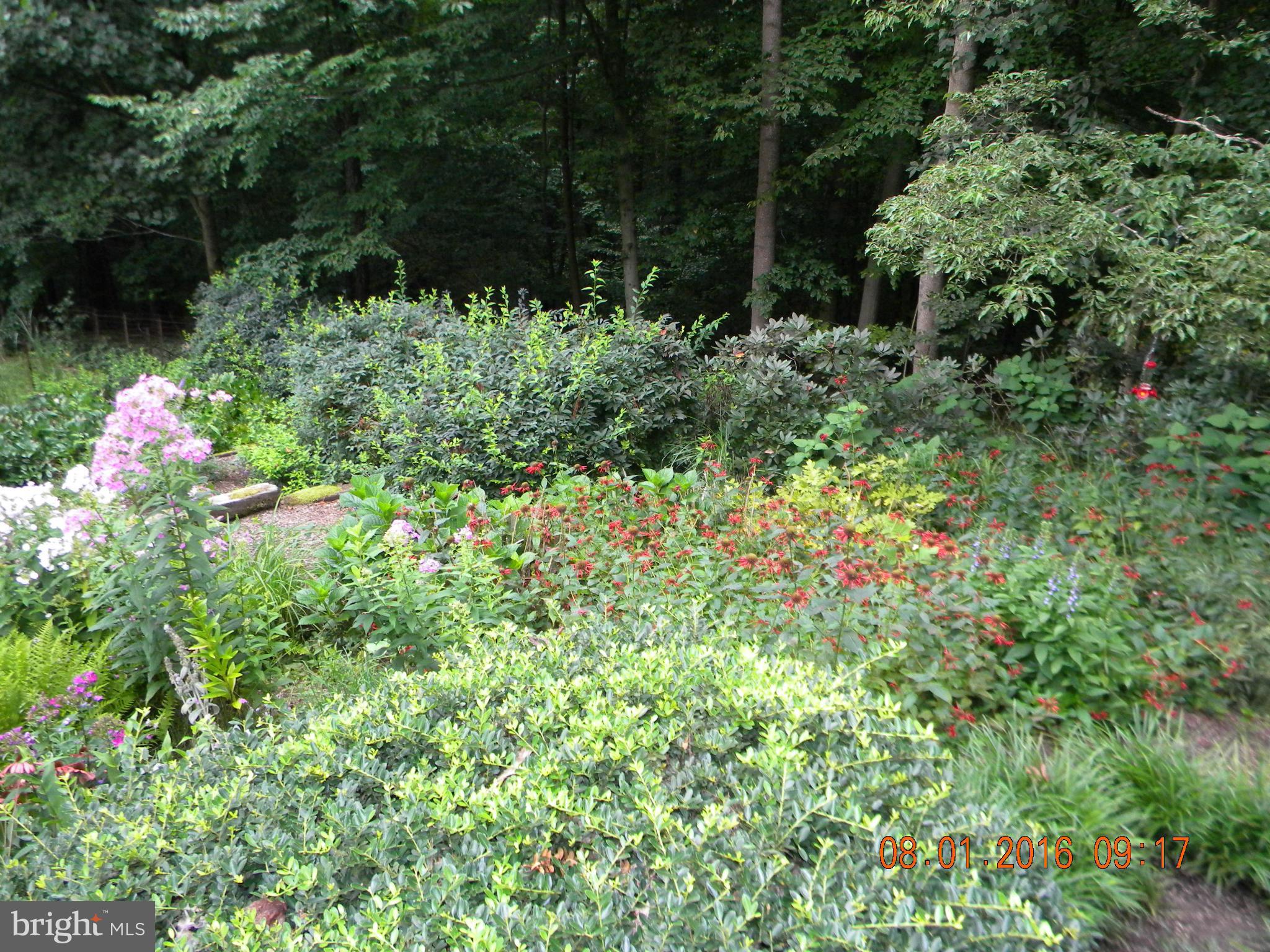 2014 Blue Mt Road Monkton, MD 21111 - Photo 27 of 30 BEAUTIFUL GARDENS