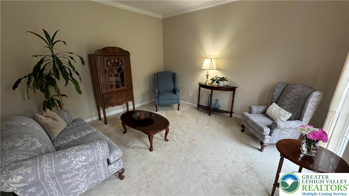 135 Clover Hollow Road Easton, PA 18045 - Photo 41 of 66 a living room with furniture and a potted plant