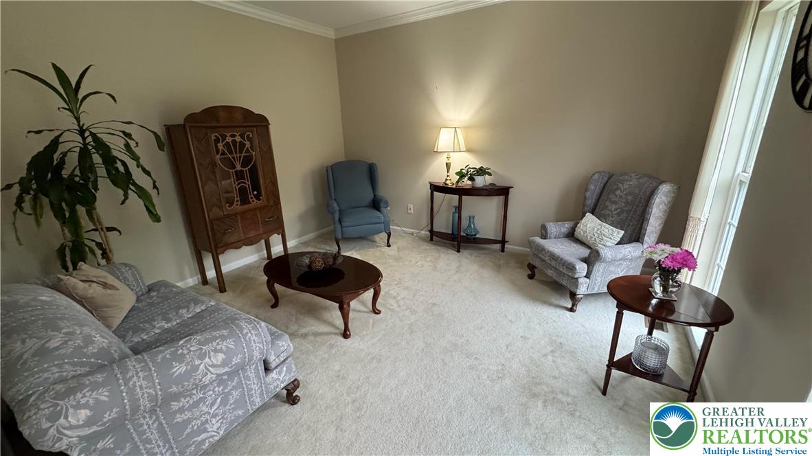 135 Clover Hollow Road Easton, PA 18045 - Photo 60 of 66 a living room with furniture and a potted plant