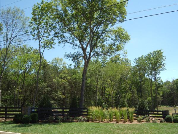 4664 Hessey Road Mount Juliet, TN 37122 - Photo 5 of 7 Can you hear the crickets chirping?