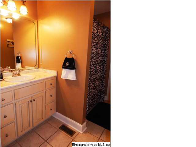 393 Indian Hills Road Hayden, AL 35079 - Photo 16 of 19