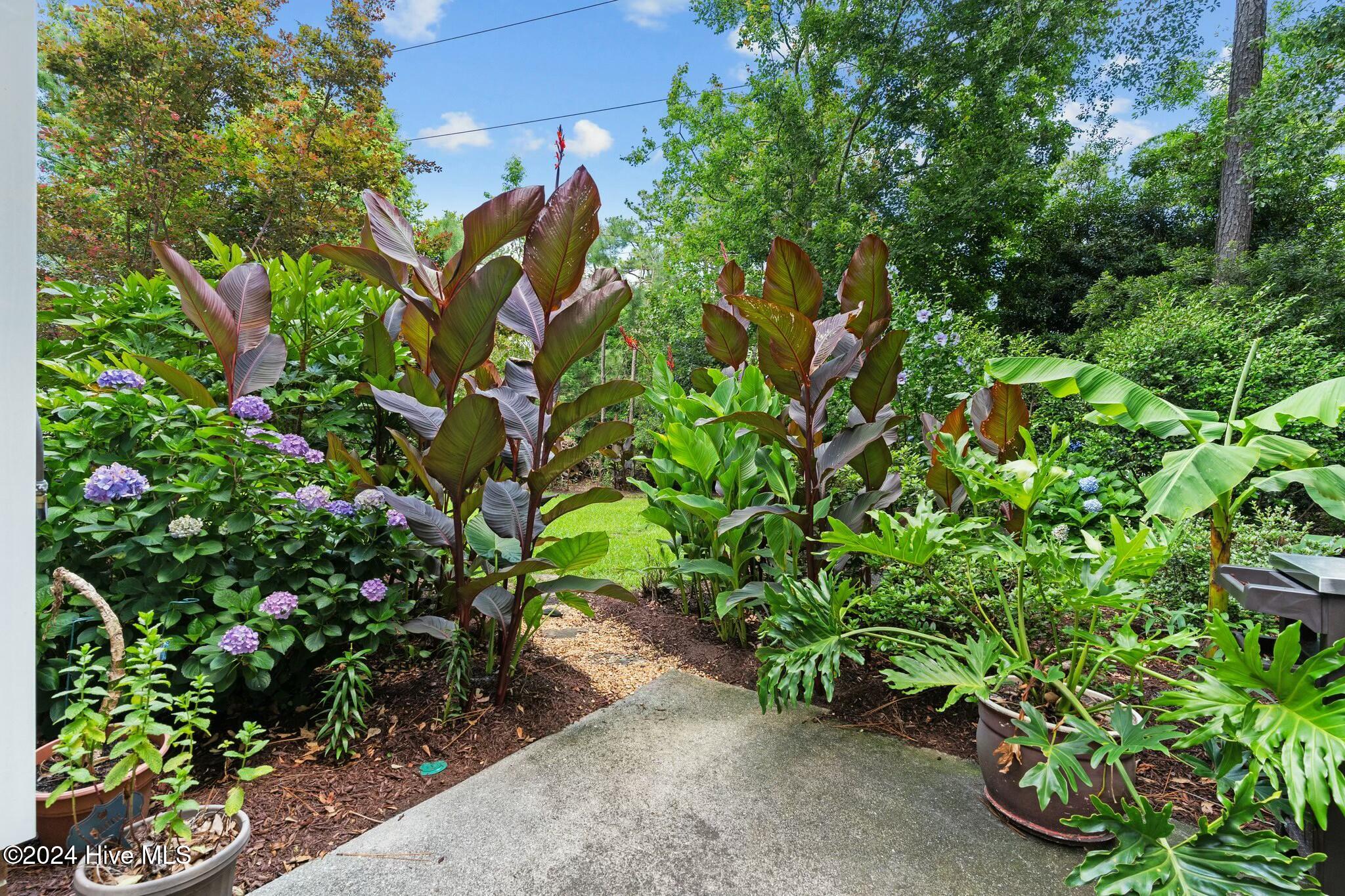 434 Lansdowne Road Wilmington, NC 28409 - Photo 21 of 65 tempImage6zMjmo