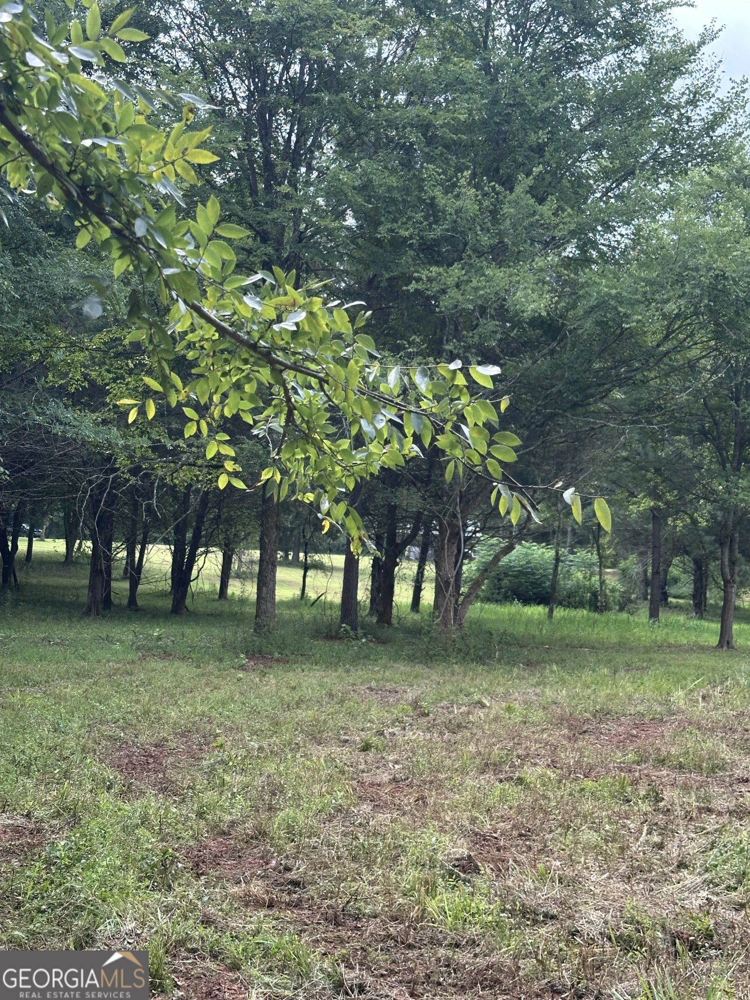 440 West Williamson Road Williamson, GA 30292 - Photo 9 of 23