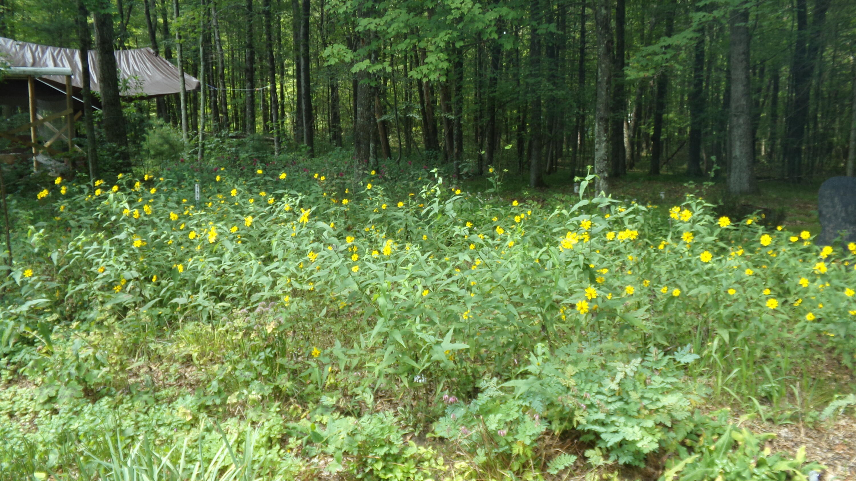 N1619 Fox Ridge Trail Menominee, WI 54135 - Photo 7 of 40 100_1556