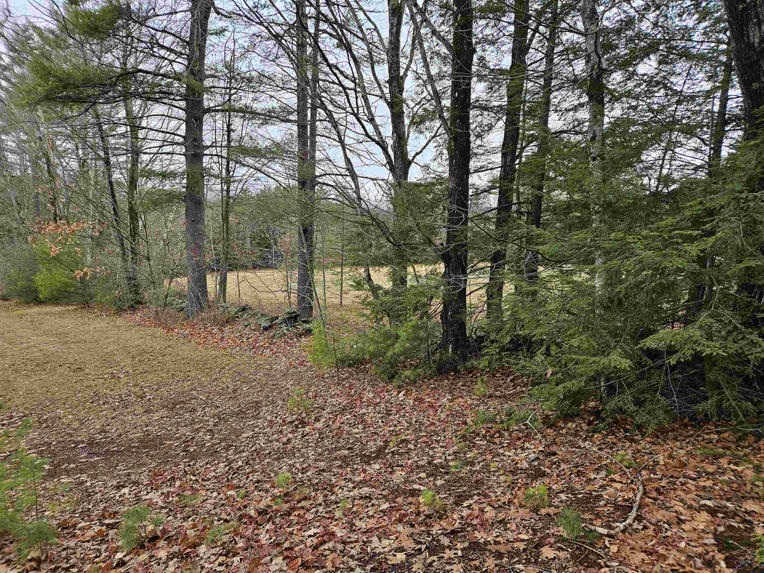 0 Hewitt Road Claremont, NH 03743 - Photo 14 of 35