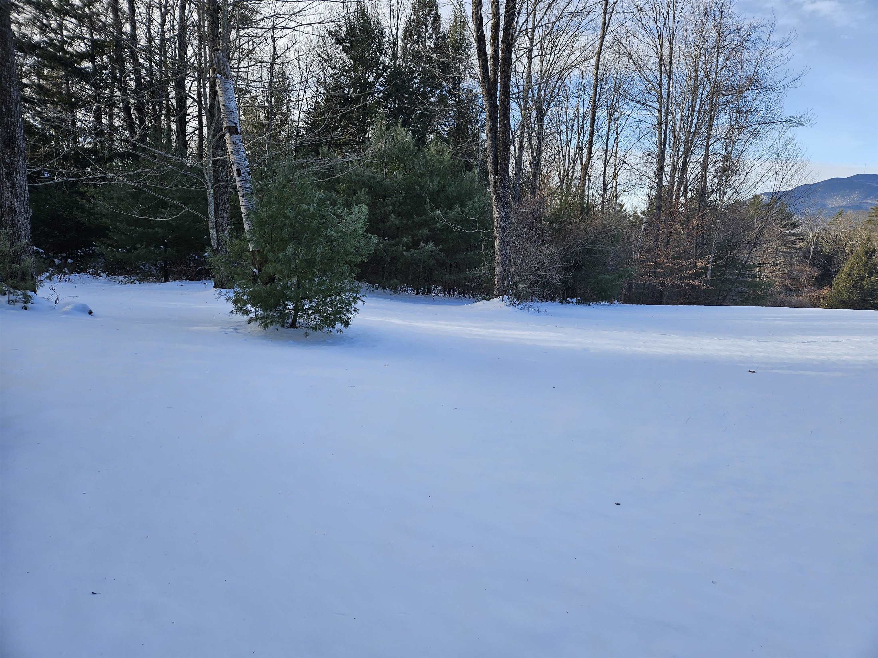 0 Hewitt Road Claremont, NH 03743 - Photo 28 of 35