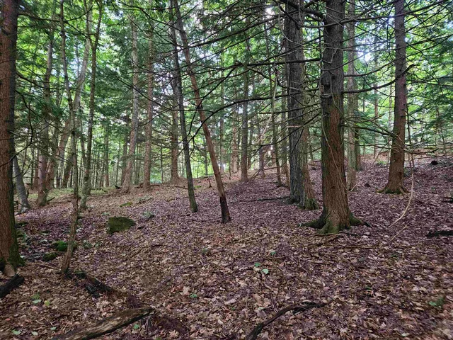 $397,000 | 0 Hewitt Road, Claremont, NH 03743