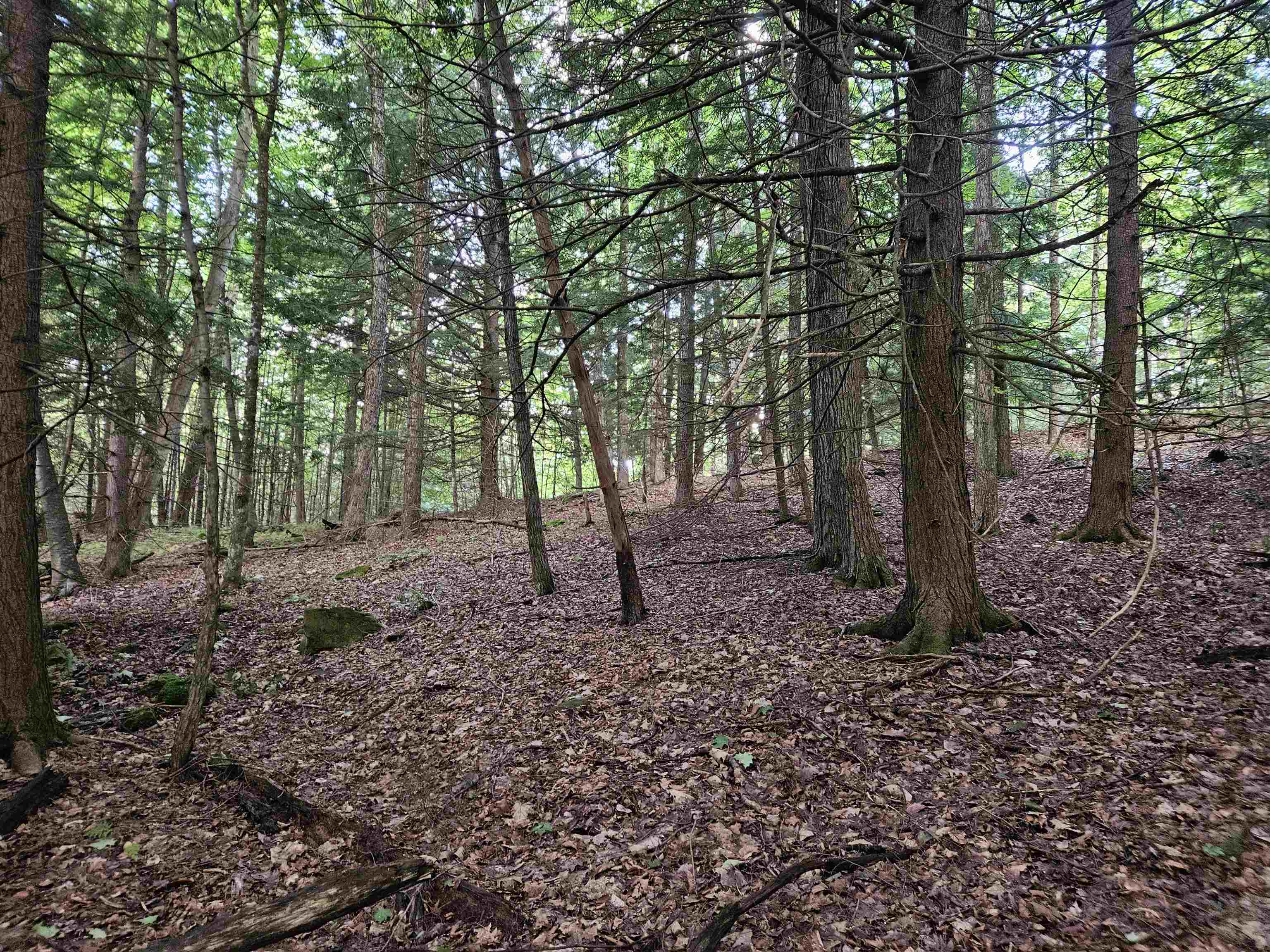 0 Hewitt Road Claremont, NH 03743 - Photo 5 of 35