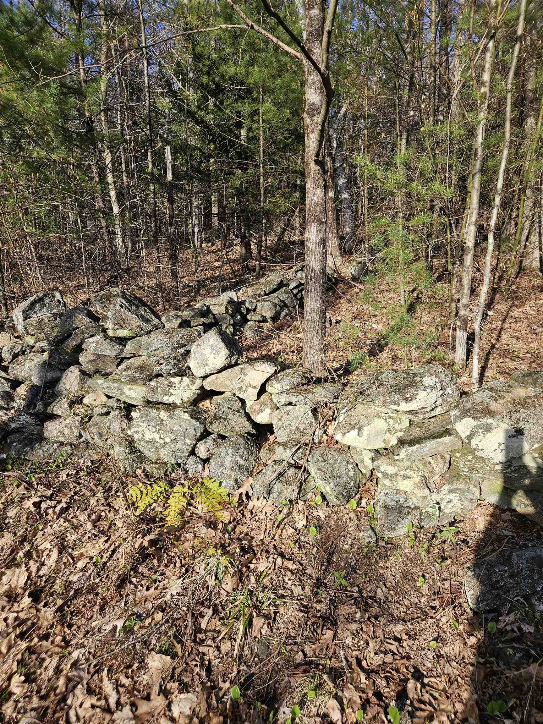 0 Hewitt Road Claremont, NH 03743 - Photo 6 of 35