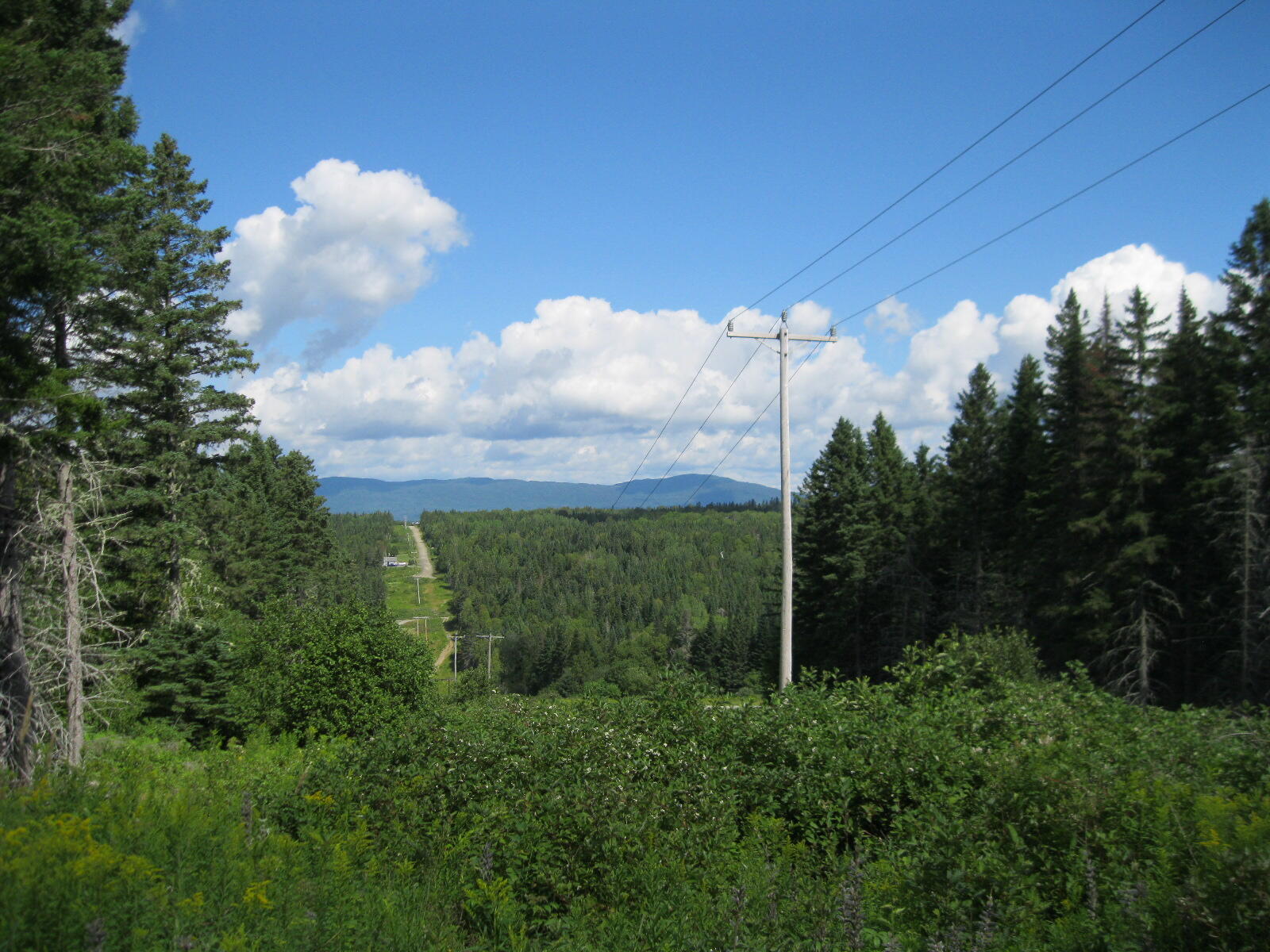 M7-l26 M7-l26 Loop Road Dallas Plt, ME 04970 - Photo 4 of 10 Howard - Overlook 012