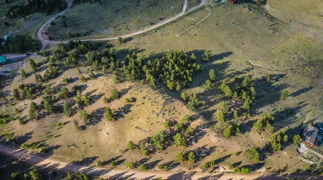 a view of a yard with plants