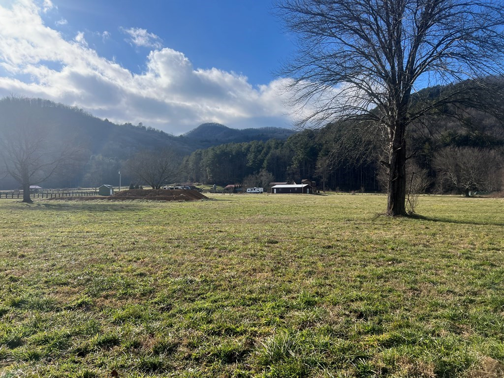 3 Riverside Meadows Hiawassee, GA 30546 - Photo 2 of 22