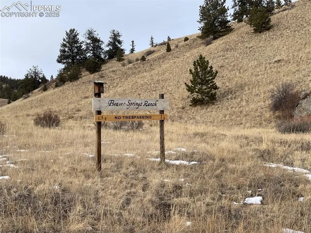 a view of a dry yard