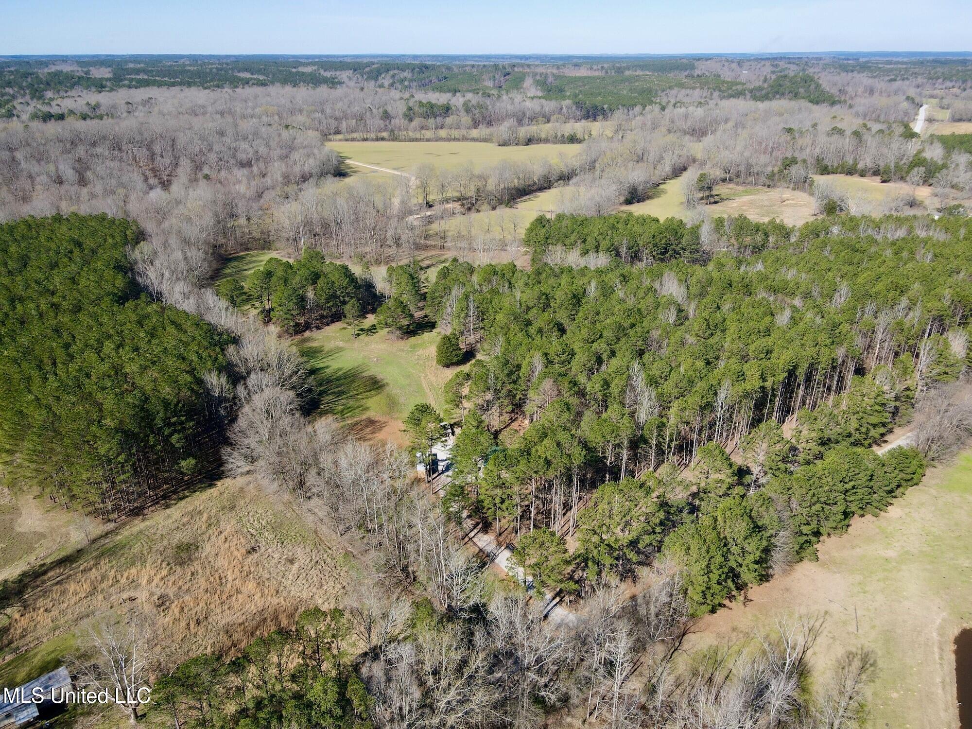 217 281st Banner, MS 38913 - Photo 12 of 21 7
