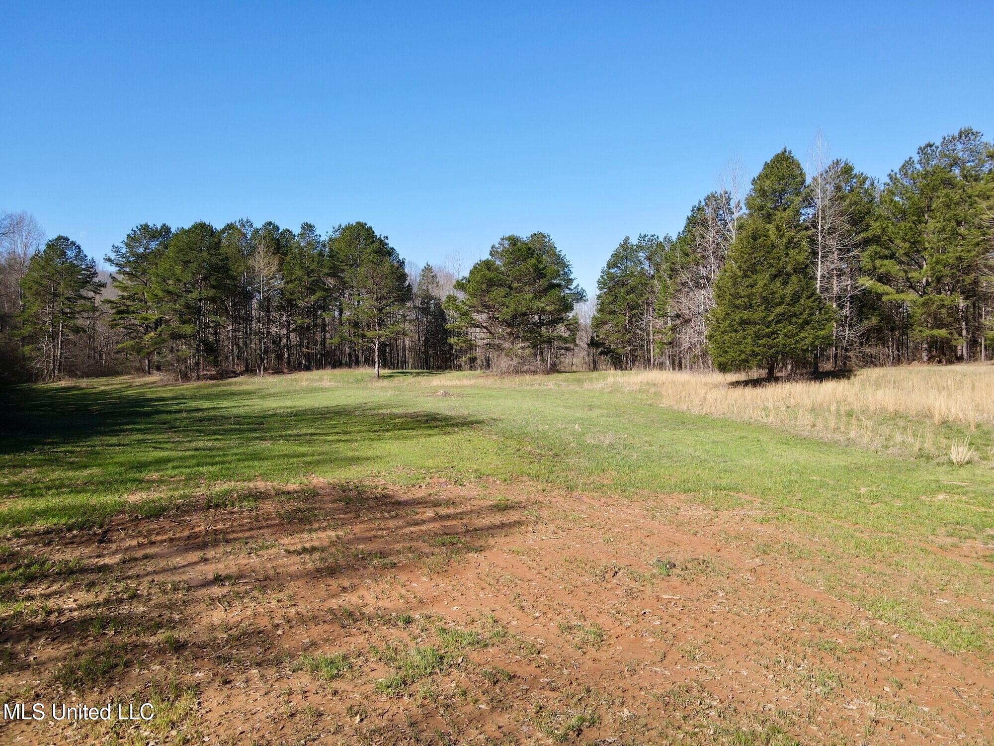 217 281st Banner, MS 38913 - Photo 19 of 21 8