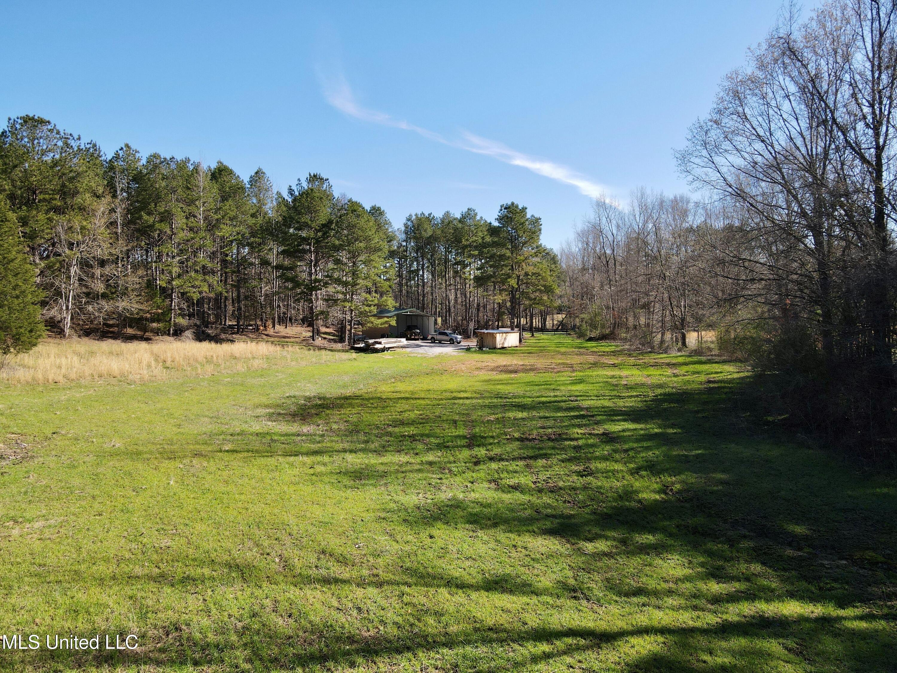 217 281st Banner, MS 38913 - Photo 8 of 21 10