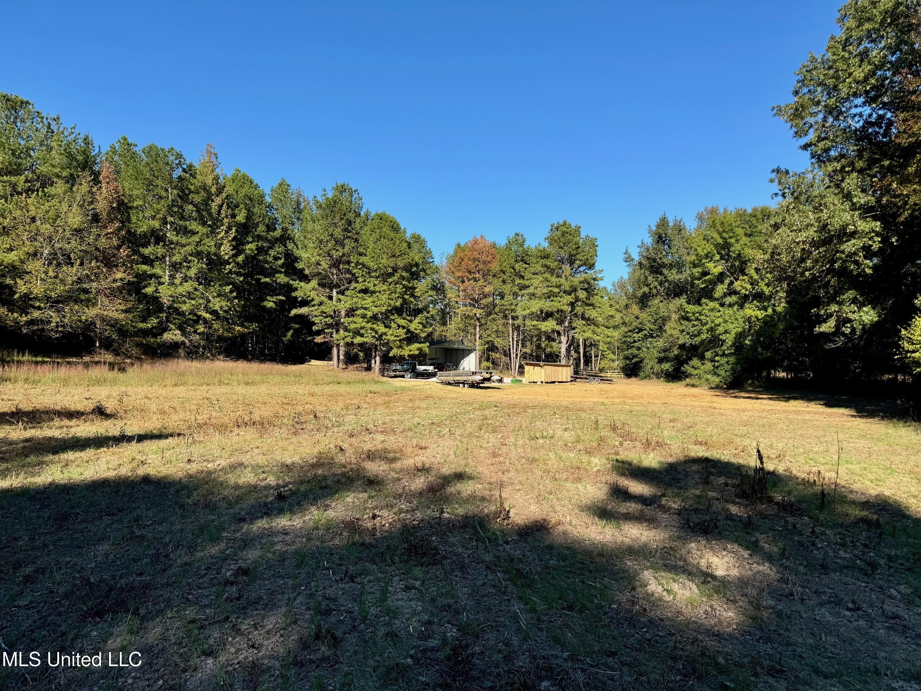 217 281st Banner, MS 38913 - Photo 9 of 21 4