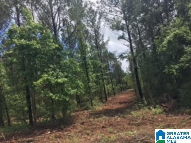 325 Springhill Road, Unit 1 Talladega, AL 35160 - Photo 31 of 31