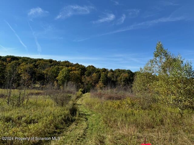 1736 Falls Road Clarks Summit, PA 18411 - Photo 15 of 26 a view of lake with green space