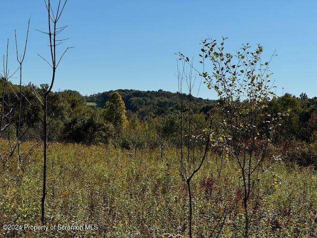 1736 Falls Road Clarks Summit, PA 18411 - Photo 16 of 26 a view of a house with a yard