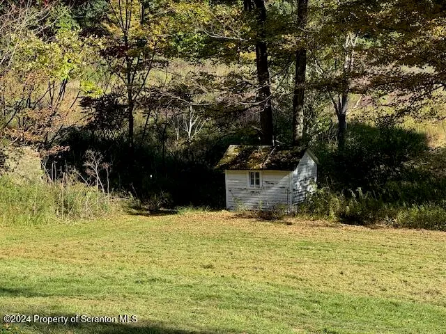 a view of a yard with large trees