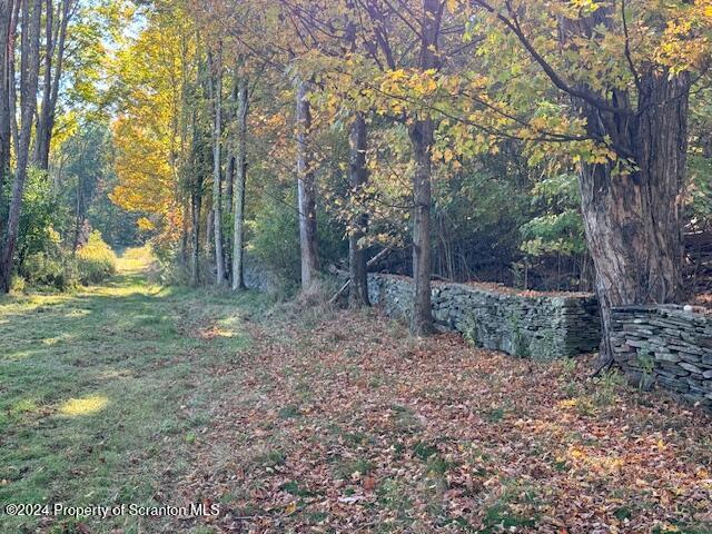1736 Falls Road Clarks Summit, PA 18411 - Photo 19 of 26 a backyard of a house with lots of green space