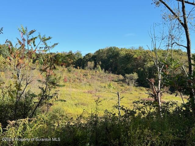 1736 Falls Road Clarks Summit, PA 18411 - Photo 20 of 26 a view of a yard with a tree