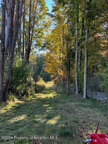 a view of outdoor space and yard