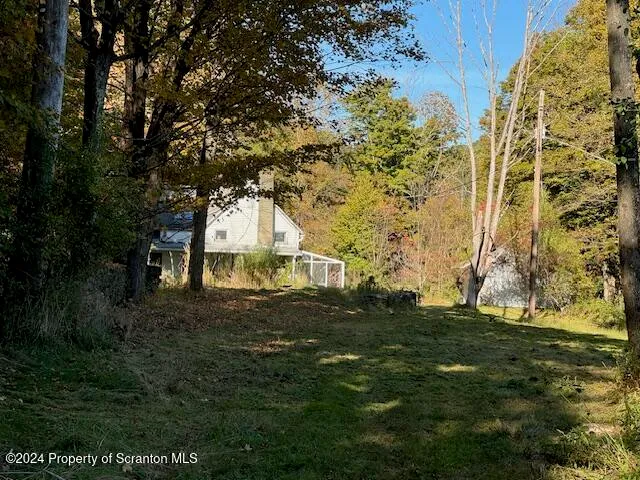 a view of a yard with plants and large trees