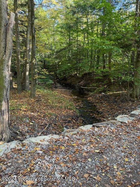 1736 Falls Road Clarks Summit, PA 18411 - Photo 23 of 26 a view of a yard with plants and large trees
